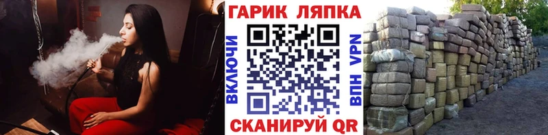 Гашиш Изолятор  Сясьстрой 
