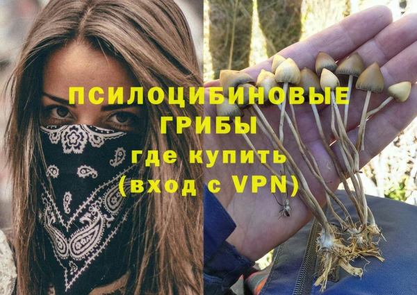 каннабис Надым
