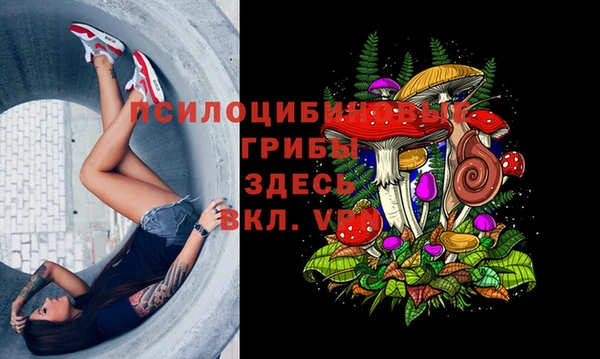 альфа пвп Михайловка